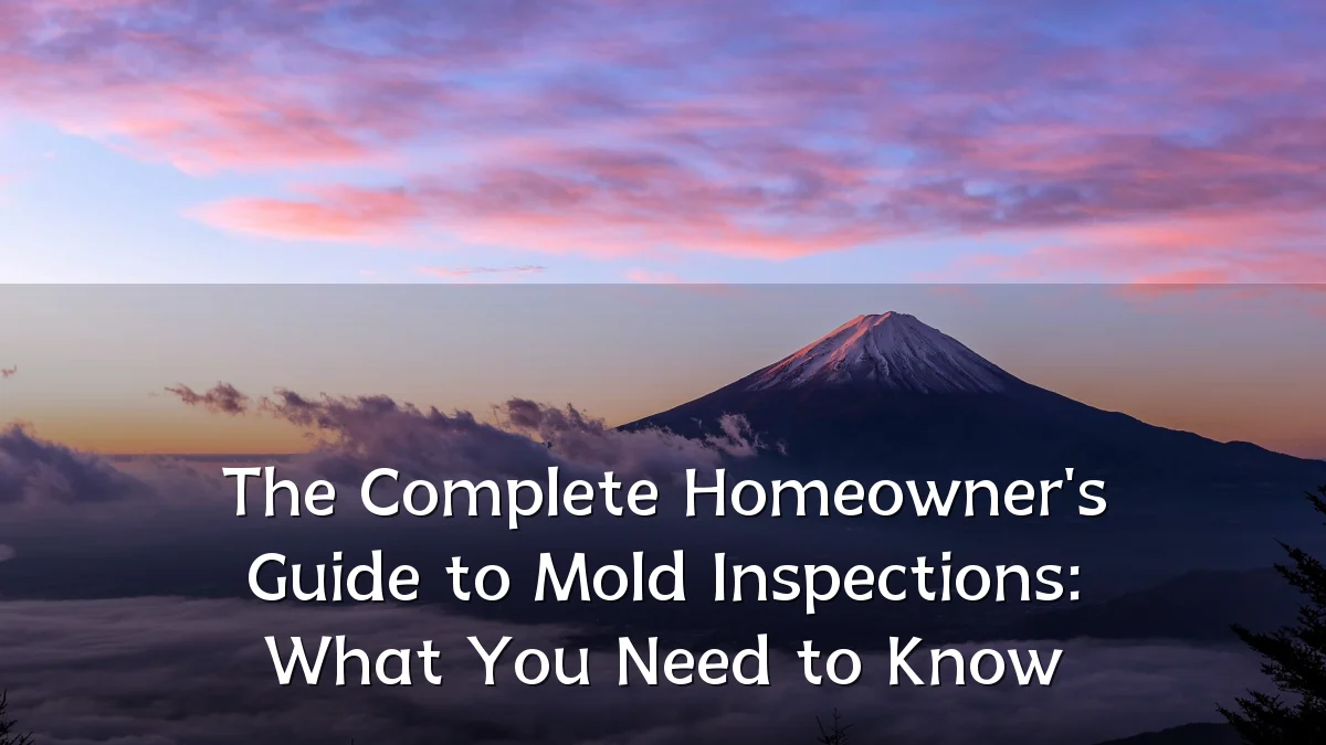 The Complete Homeowner's Guide to Mold Inspections: What You Need to Know