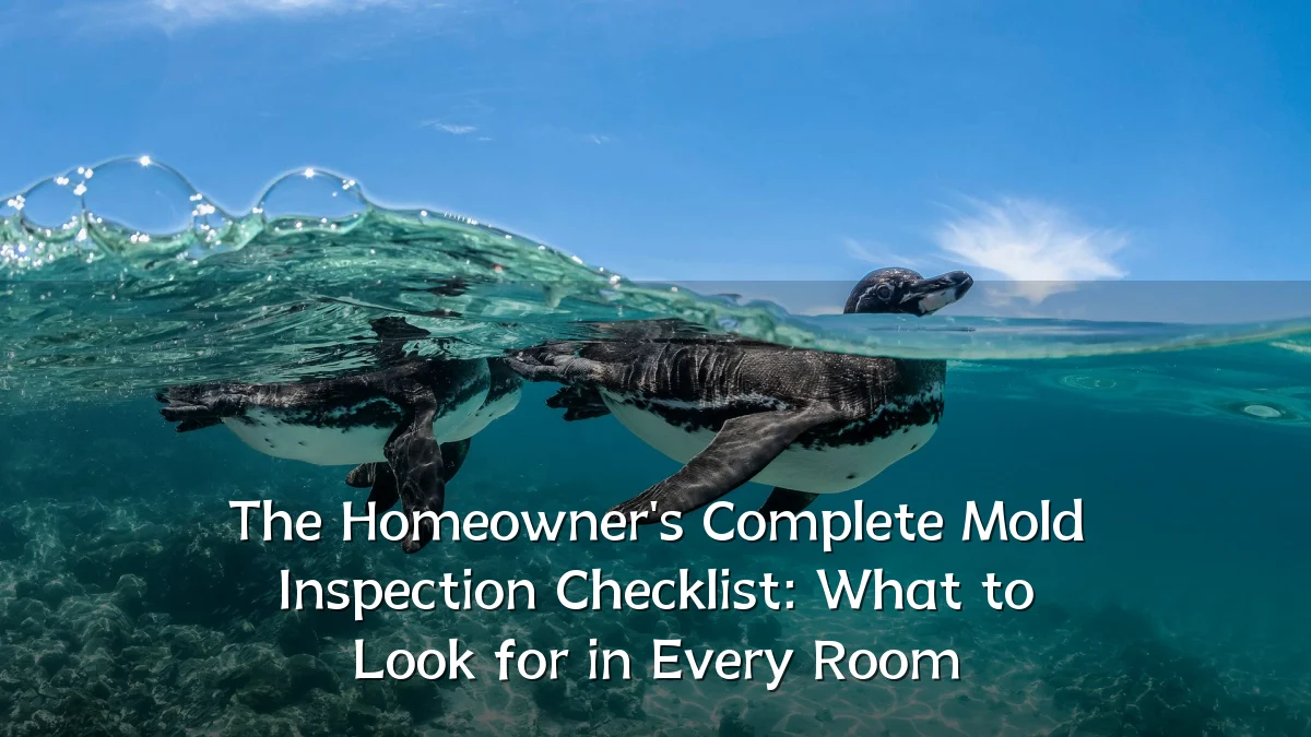 The Homeowner's Complete Mold Inspection Checklist: What to Look for in Every Room