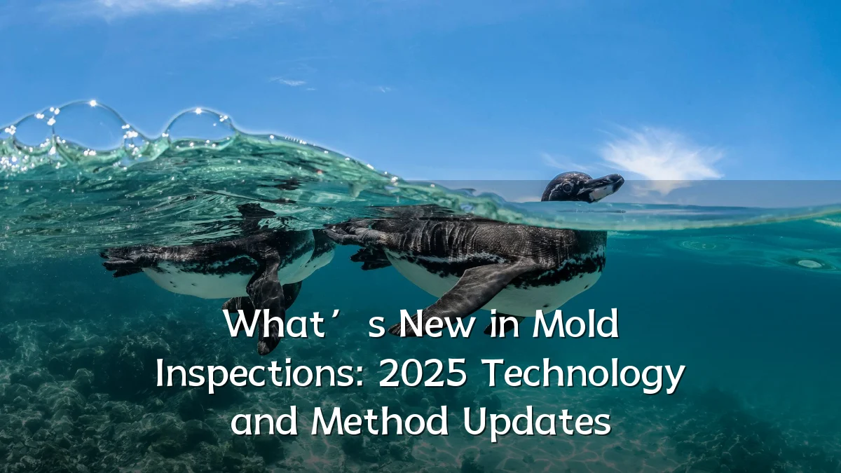 What’s New in Mold Inspections: 2025 Technology and Method Updates